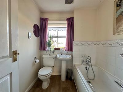 Picture 24